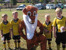 Westlawn Tigers Football Club