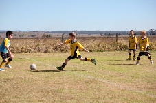 Image 13