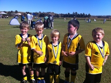Westlawn Tigers Football Club