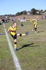 Westlawn Tigers Football Club