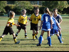 Westlawn Tigers Football Club