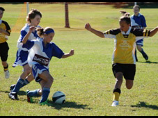 Westlawn Tigers Football Club