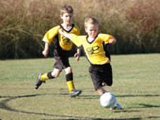 Westlawn Tigers Football Club