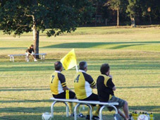 Westlawn Tigers Football Club