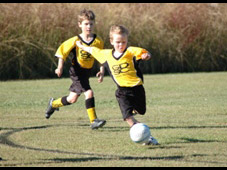 Westlawn Tigers Football Club