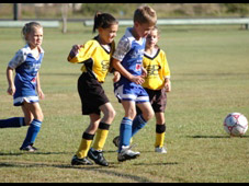 Westlawn Tigers Football Club