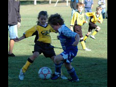Westlawn Tigers Football Club