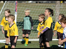 Westlawn Tigers Football Club