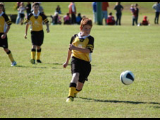 Westlawn Tigers Football Club