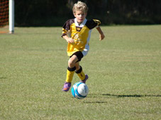 Westlawn Tigers Football Club