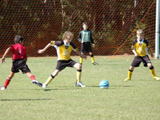 Westlawn Tigers Football Club
