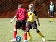 Westlawn Tigers Football Club