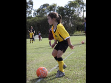 Westlawn Tigers Football Club