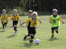 Westlawn Tigers Football Club