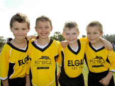 Westlawn Tigers Football Club