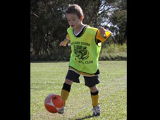 Westlawn Tigers Football Club