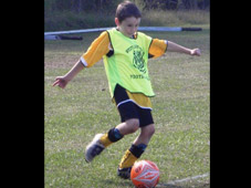 Westlawn Tigers Football Club