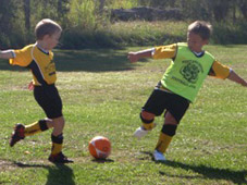 Westlawn Tigers Football Club