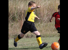 Westlawn Tigers Football Club