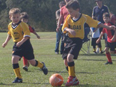Westlawn Tigers Football Club