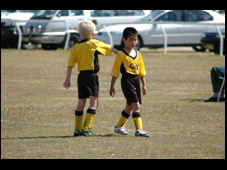 Westlawn Tigers Football Club